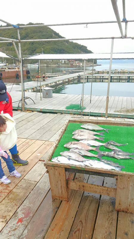 海の釣堀 海恵 釣果