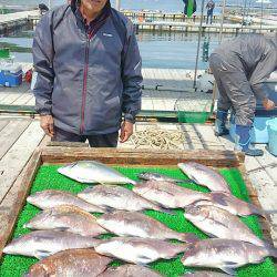 海の釣堀 海恵 釣果