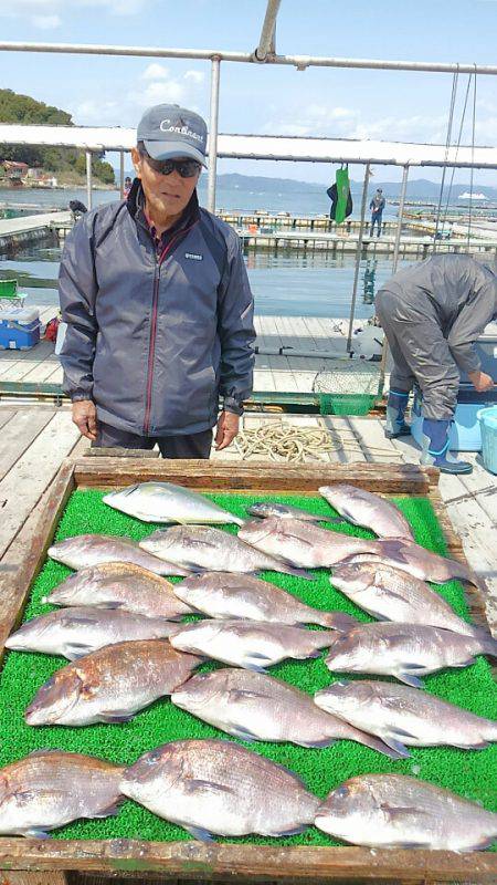 海の釣堀 海恵 釣果