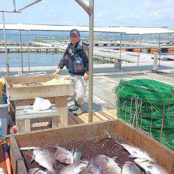 海の釣堀 海恵 釣果