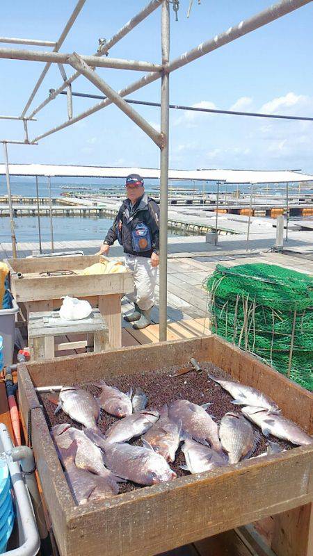 海の釣堀 海恵 釣果