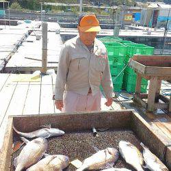 海の釣堀 海恵 釣果