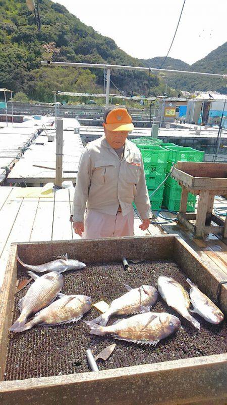 海の釣堀 海恵 釣果