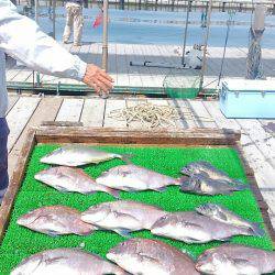 海の釣堀 海恵 釣果
