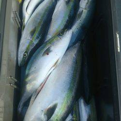 サンマリン 釣果