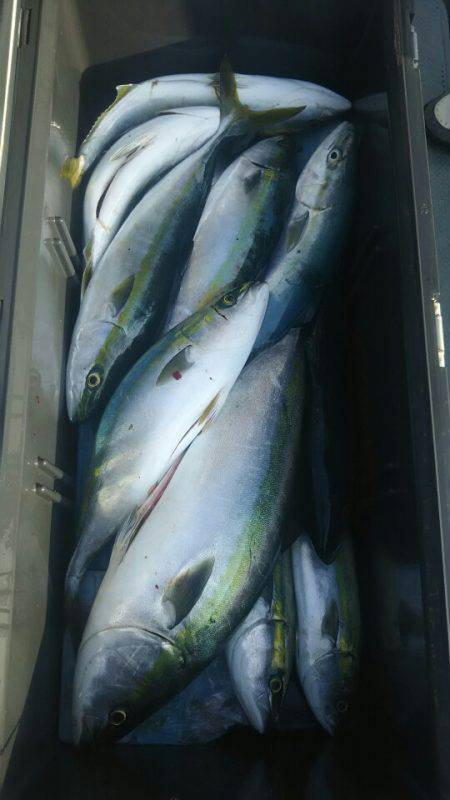 サンマリン 釣果