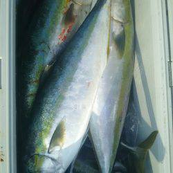 サンマリン 釣果