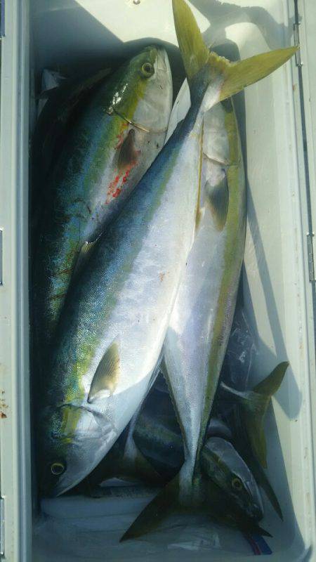 サンマリン 釣果