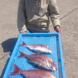 第三共栄丸 釣果