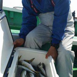 金沢八景鴨下丸 釣果