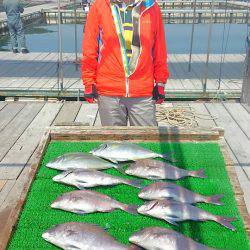 海の釣堀 海恵 釣果