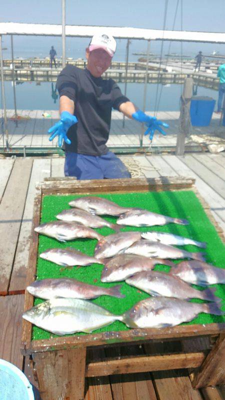 海の釣堀 海恵 釣果