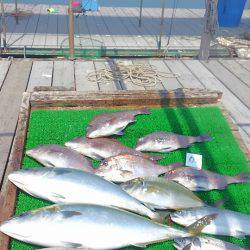 海の釣堀 海恵 釣果