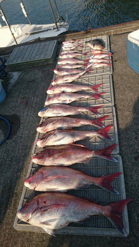 ARCADIAⅡ (アルカディアⅡ) 釣果