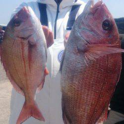 第三共栄丸 釣果