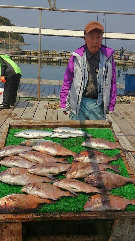 海の釣堀 海恵 釣果