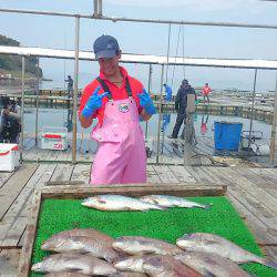 海の釣堀 海恵 釣果