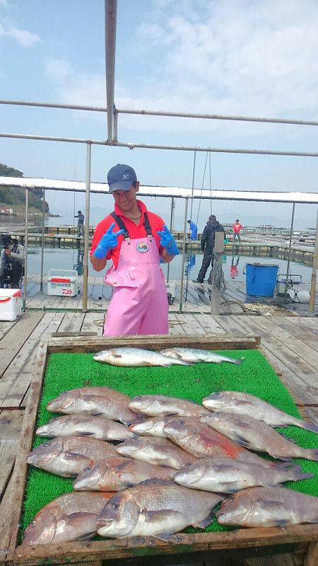 海の釣堀 海恵 釣果