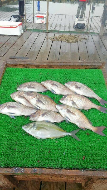 海の釣堀 海恵 釣果