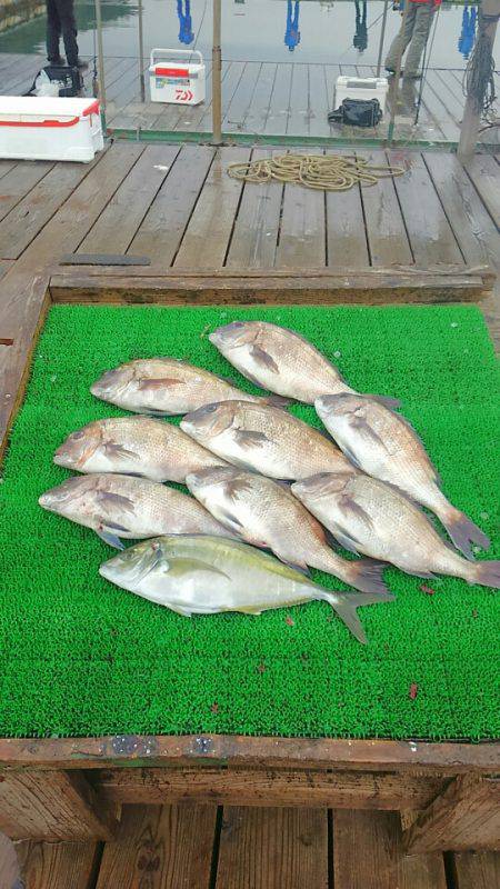 海の釣堀 海恵 釣果