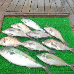 海の釣堀 海恵 釣果