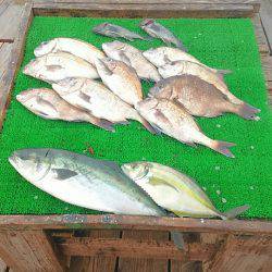 海の釣堀 海恵 釣果