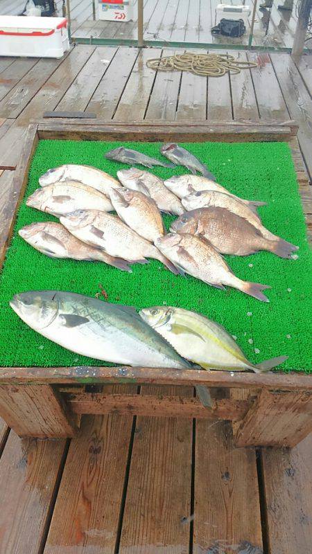 海の釣堀 海恵 釣果