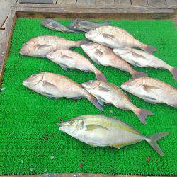 海の釣堀 海恵 釣果