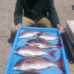 第三共栄丸 釣果