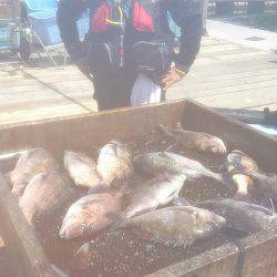 海の釣堀 海恵 釣果