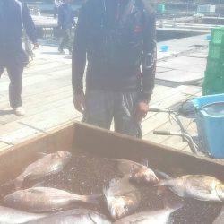 海の釣堀 海恵 釣果