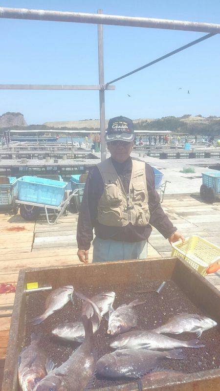 海の釣堀 海恵 釣果