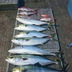 ARCADIAⅡ (アルカディアⅡ) 釣果