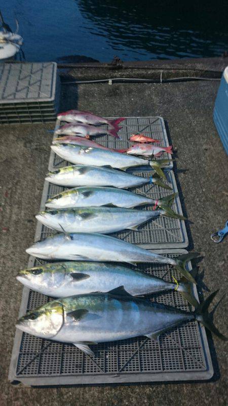 ARCADIAⅡ （アルカディアⅡ） 釣果…