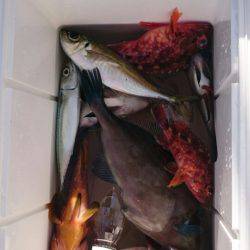 海龍丸（石川） 釣果