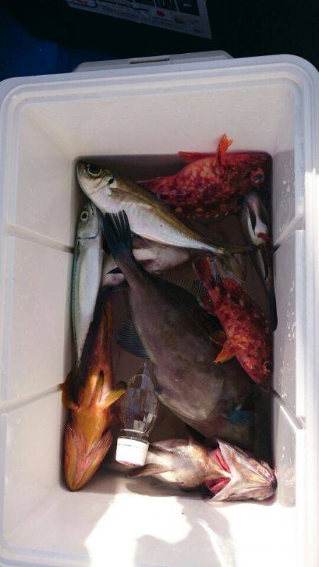 海龍丸（石川） 釣果