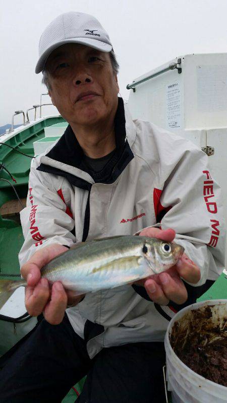 金沢八景鴨下丸 釣果