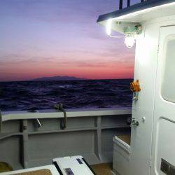 金沢八景鴨下丸 釣果