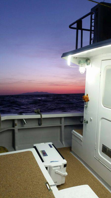 金沢八景鴨下丸 釣果