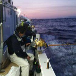 金沢八景鴨下丸 釣果