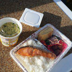 金沢八景鴨下丸 釣果