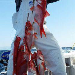 金沢八景鴨下丸 釣果