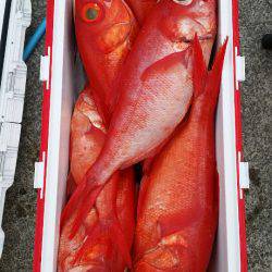 金沢八景鴨下丸 釣果