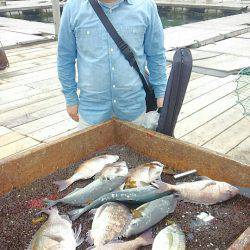 海の釣堀 海恵 釣果