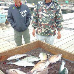 海の釣堀 海恵 釣果