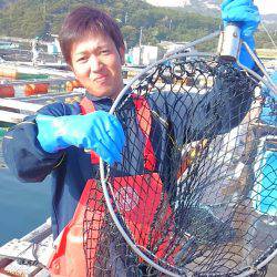 海の釣堀 海恵 釣果