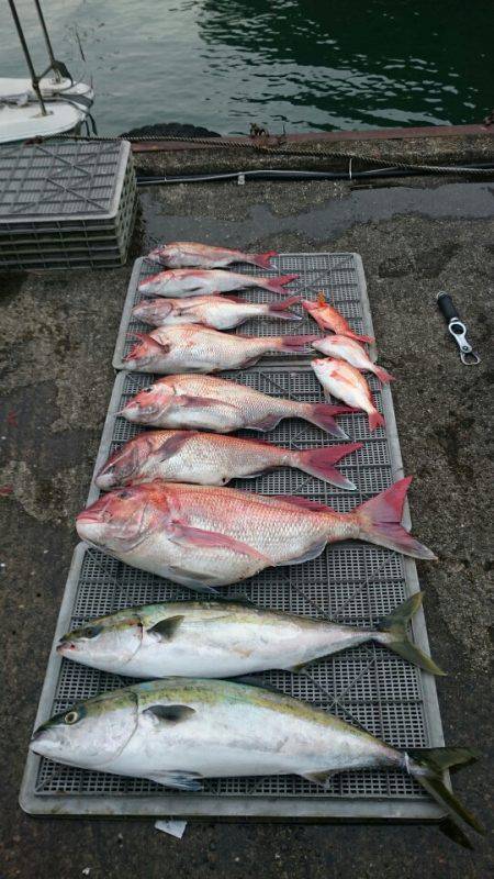 ARCADIAⅡ (アルカディアⅡ) 釣果