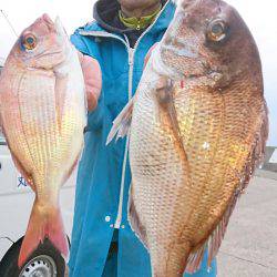 第三共栄丸 釣果