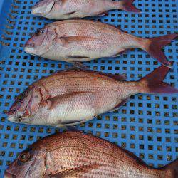 第三共栄丸 釣果