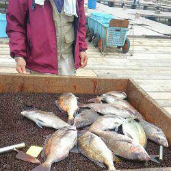海の釣堀 海恵 釣果
